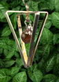 WhatsApp_Image_2023-11-22_at_19.35.26__4_-removebg-preview (1).png