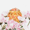 flowers-designify (15).png