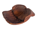 WhatsApp_Image_2023-07-30_at_11.28.15-removebg-preview.png