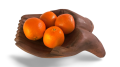landscape-format,-white-background,-shadow-designify (8).png