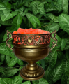 Zdjęcie_WhatsApp_2025-05-06_o_17.39.11_231da4f4-removebg-preview-removebg-preview (1) 222.png